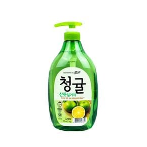 청귤 산뜻설거지 펌프 1kg 참그린 주방세제