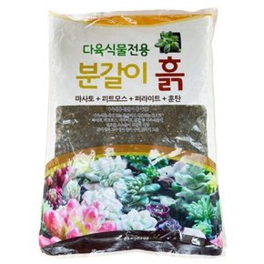 다육식물전용 분갈이흙 약1.5kg SZ