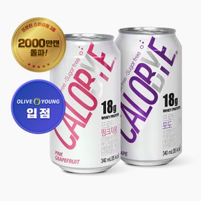 프로틴 스파클링 24개입