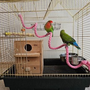 앵무새 놀이터 와이어 로프 횟대 1m