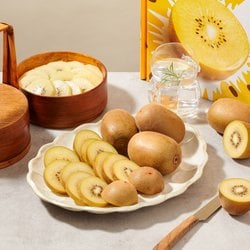 뉴질랜드산 골드키위 2.1kg (16~22입) 팩