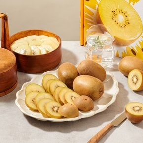 뉴질랜드산 골드키위 2.1kg (16~22입) 팩