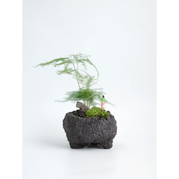 확대된 대표 Main Image