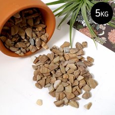 마이플랜트 목문석 5kg 소포장