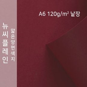 종이문화 뉴씨플레인 얇은 양면색상지 120g A6 No.70 피색 낱장 1매 색지