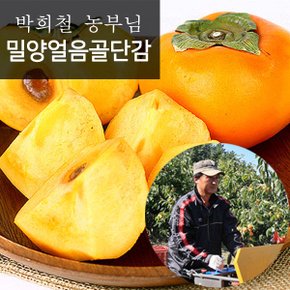 밀양얼음골 제철 단감 중과5kg(27-30과)