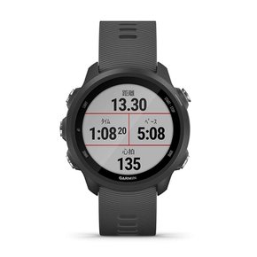 GARMIN (가민) ForeAthlete 245 Black Slate 010-02120-42