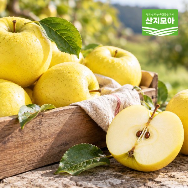상품이미지2