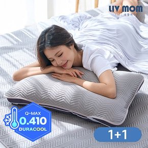 매일 바꿔쓰는 아이스냉감 베개커버 지그재그 1+1 40x60