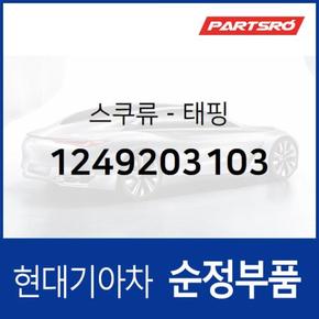 태핑 스쿠류 (1249203103) 그랜저/다이너스티, 쏘나타NF, 제네시스, I40, G70, G80, 그랜드 스타렉스, 아이오닉 전기차, 아이오닉 하이브리드, 쏠라티, 트라고 엑시언트 6X4, 트라고 엑시언트 8X4/10X4, 쏠라티 특장, 트라고 엑시언트 특장 6X2,