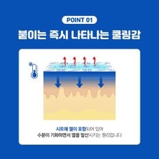 아텍스 뽀로로 열냉각시트 6매입 해열시트