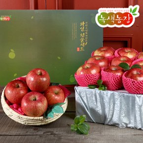 [녹색농장]선물용 경북사과5kg(10-13과)