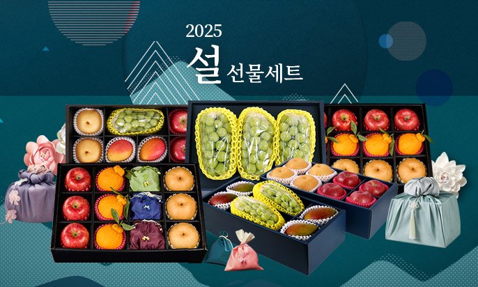 다농이네 25년 설 과일선물세트 모음전