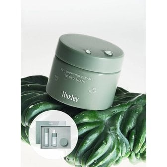 헉슬리 리바운싱 PDRN 크림 하이드로 쉐이드 50ml