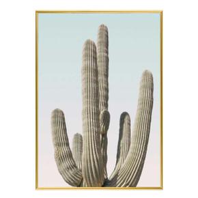 /마이월플레이즈 슬림 인테리어액자 Saguaro A2사이즈