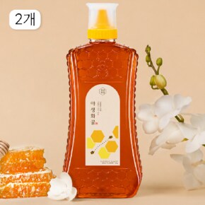 (G)청년벌집 야생화꿀 2kg x 2개 천연벌꿀 자연벌꿀 토종꿀
