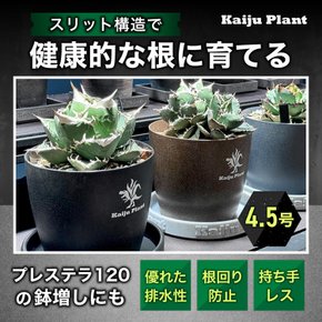 Kaiju Plant 몬스터 냄비 Eco4.5 슬릿 그릇 4.5 호 밀짚모자 재생 플라스틱 화분 화분