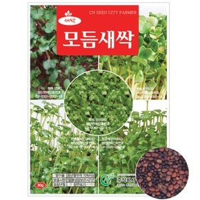 새싹 모둠씨앗 30g