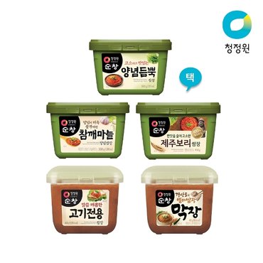 청정원 쌈장(PET) 5종 골라담기 (고기전용/참깨마늘 등)