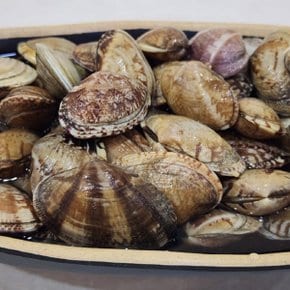 G1987 국내산 생물 바지락 1kg