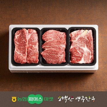 작심밀도 [냉장][농협영주한우]실속 가족 3종 구이세트1호 (등심/안심/채끝) / 1.2kg