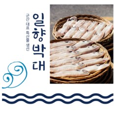 반건조 일향박대 10미 2종류 (약 1.2kg, 1.3kg 이상) /(마리당 28~30cm)