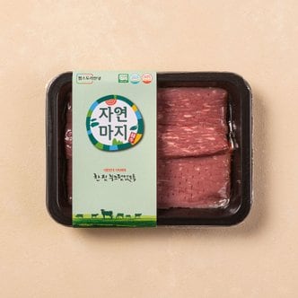  [냉장] 자연마지 무항생제 한우 1+등급 산적용 300g