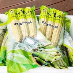 쫀득한 괴산 대학 냉동 찰옥수수 15개입