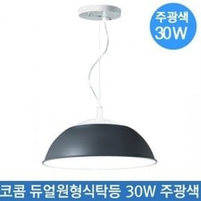 식탁등 LED 30W 주광색 거실등 부엌등 팬던트 조명