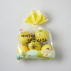 사과 행사