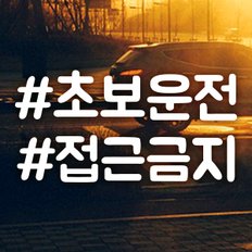 텍스트 해쉬태그 초보운전 / 초보운전 반사스티커 자동차스티커