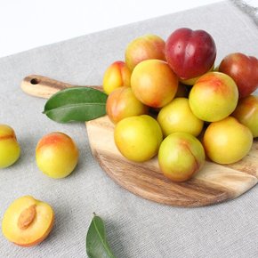 [산지직송] 지금만 맛볼수 있는 하우스 햇 자두(특) 1.5kg