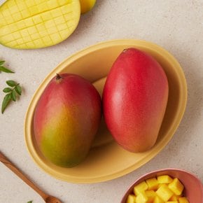브라질산 애플망고 840g (2입) 팩