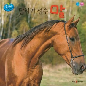 (중고/상)달리기 선수 말