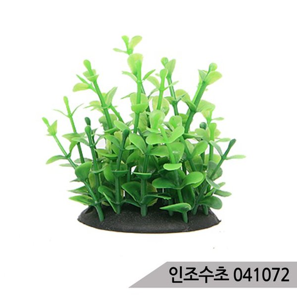 확대된 대표 대표이미지
