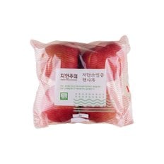 저탄소인증 햇사과 1.1kg/봉