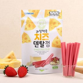 과일먹은 치즈덴탈껌 100g 딸기/애견간식/껌