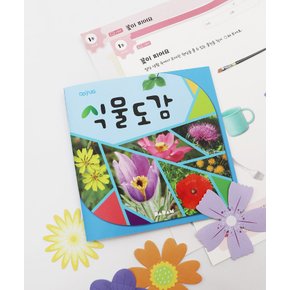 어린이 유아 학습지 식물도감 책 모세관 현상 과학 실험 키트 활동지 세트
