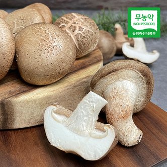 친환경팔도 [산지직송] 부여 무농약 표고버섯(하품) 500g