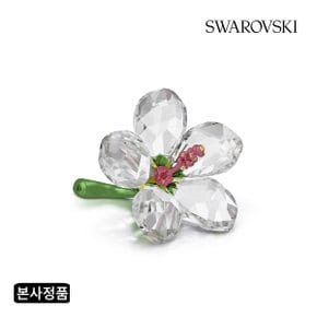 스와로브스키 [본사정품/쇼핑백증정] Florere 히비스커스 S 5690534