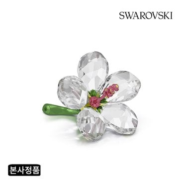 스와로브스키 [본사정품/쇼핑백증정] Florere 히비스커스 S 5690534