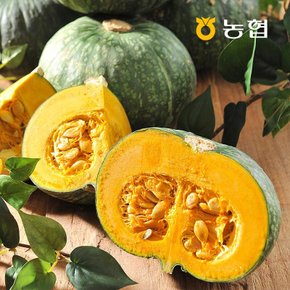 농협선별 영암 단호박 5kg (7-9입)