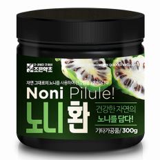 노니환 300g