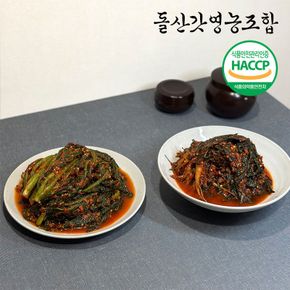 [돌산갓영농조합] 산지직송 전라도 갓김치4kg+고들빼기1kg[34520924]