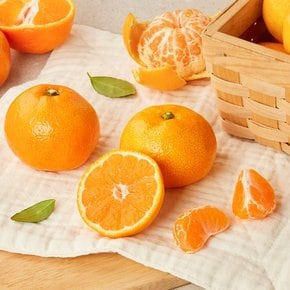 가을 하우스 감귤 1.4kg 팩