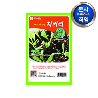 다농 베이비 (샐러드) 치커리 씨앗 30g . 무농약 베란다 텃밭 채소 재배 씨 종자