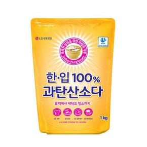 원룸살림 한입 100 % 과탄산소다 1kg