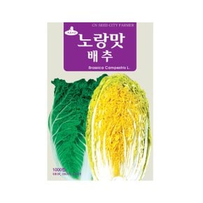 화분백화점,씨앗,모종,꽃씨,잔디씨앗,배양토,모종판,풀씨,(CN) 노랑맛배추 씨앗 (1000립)