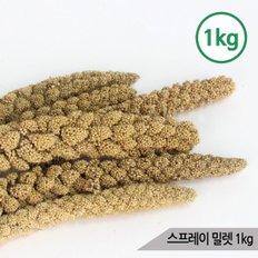 스프레이 밀렛 1kg 알곡 앵무새 햄스터 소동물간식