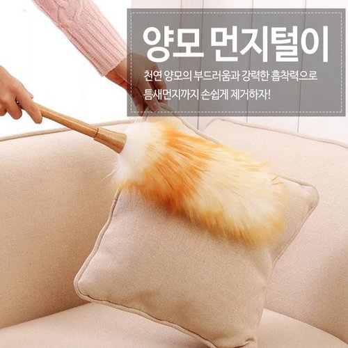 추가이미지1